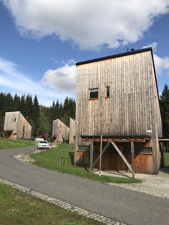 Chalet6Harrachov Se Saunou Экстерьер фото