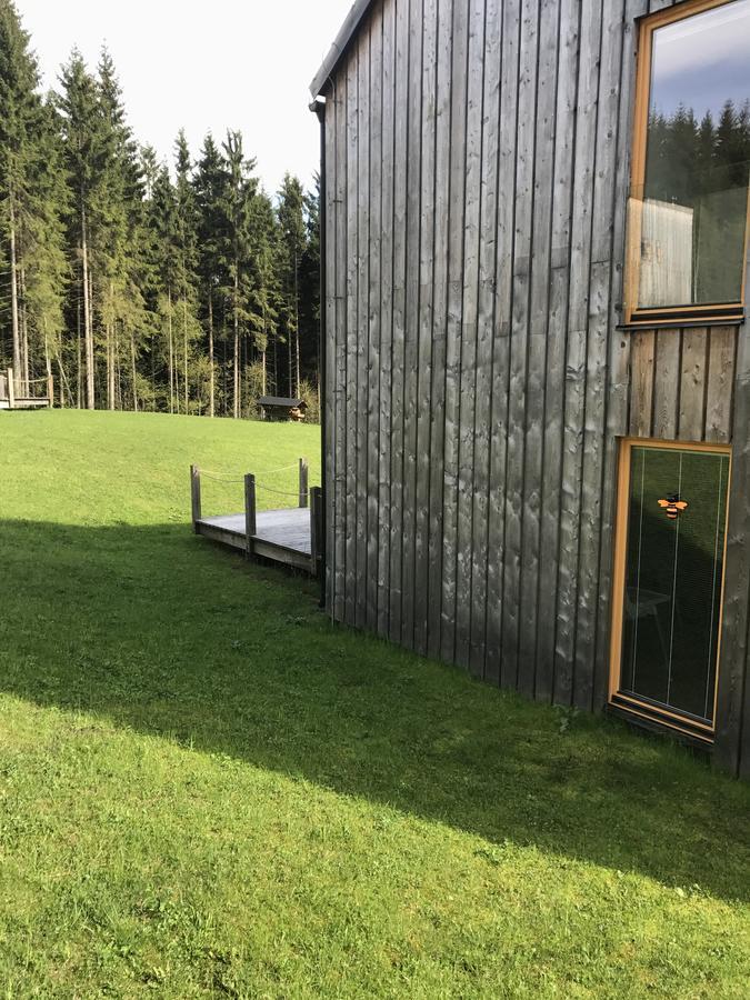 Chalet6Harrachov Se Saunou Экстерьер фото
